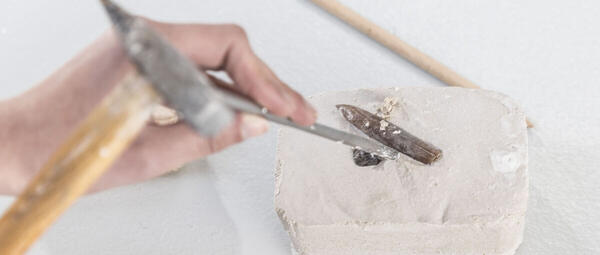 Kreismuseum Peine Vermittlung