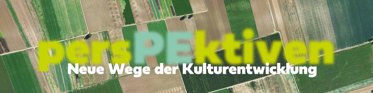 Ein Foto von oben auf das Peiner Land mit der Bezeichnung persPEktiven - Neue Wege der Kulturentwicklung
