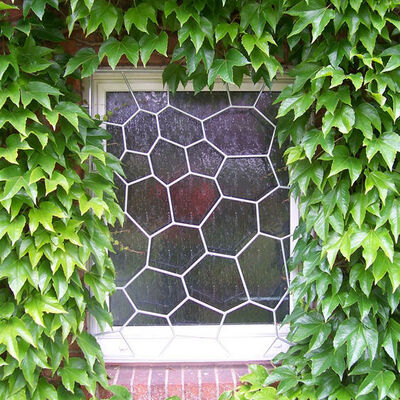 Matthias Hinsenhofen. ein Fenstergitter welches die Form von Bienenwaben hat. Es ist aus hellem Metall gefertigt.