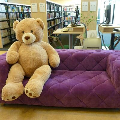 In der Kreisbücherei Vechelde ist es auch sehr gemütlich. Auf dem Bild ist ein Sofa und ein Teddybär abgebildet.