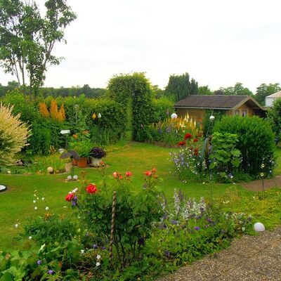 Ein sehr grüner Garten mit Büschen und  Bäumen ist hier abgebildet.