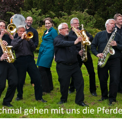 Die Big Band Rolling Mill Orchestra auf einer Wiese mit dem Bilduntertitel "Manchmal gehen mit uns die Pferde durch!"