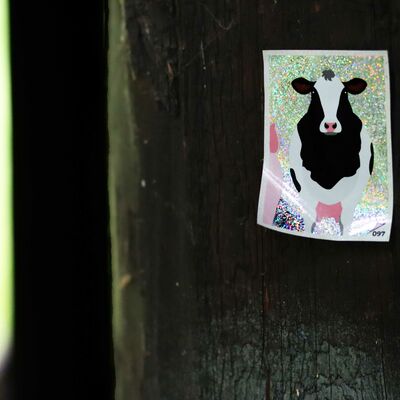 Ein Aufkleber mit einer Kuh klebt auf einem Holzunterstand.