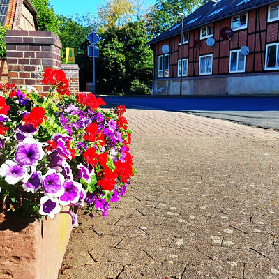 Ein Kasten mit bunten Blumen schmückt eine Straße in Neubrück.