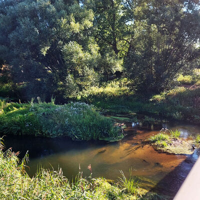 Das Foto zeigt den Blick auf die Oker, einen Fluss zwischen Braunschweig und Peine