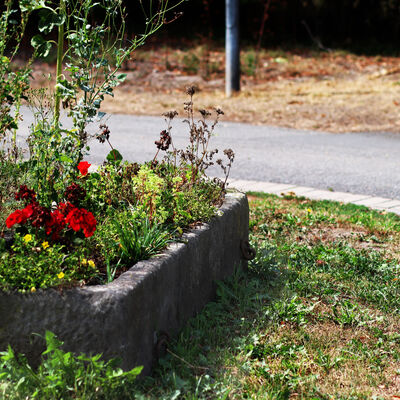 Auf diesem Bild ist ein Blumenkasten an einem Straßenrand in Bründeln, in der Gemeinde Hohenhameln, zu sehen.