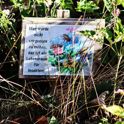 Ein Schhild weist auf eine Insektenwiese in Equord in der Gemeinde Hohenhameln hin.
