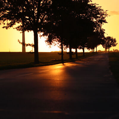 Die Abendsonne scheint auf eine Landstraße in der Gemeinde Ilsede vor der Ortschaft Bülten.